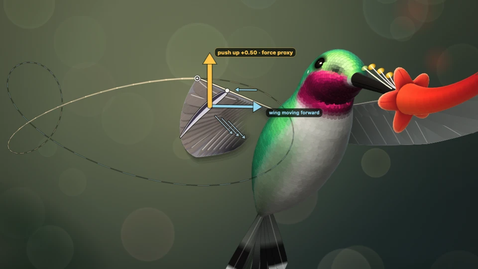 How Hummingbirds Hover