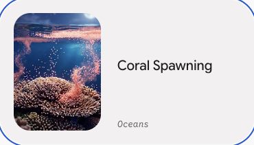 Preview of Coral Spawning