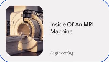 Preview of Inside Of An MRI Machine