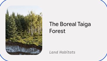Preview of The Boreal Taiga Forest