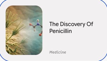 Preview of The Discovery Of Penicillin