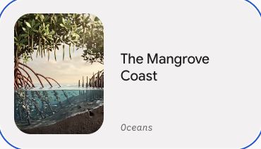 Preview of The Mangrove Coast